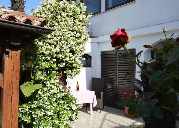 Zita Apartment *