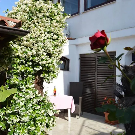 Zita Appartement *